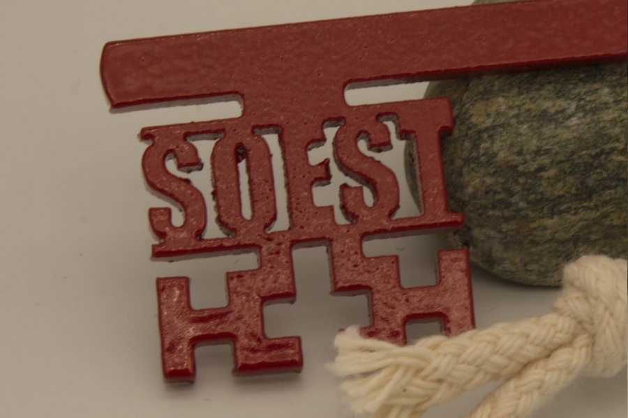 DSC37010-zoom DSC37010-zoom